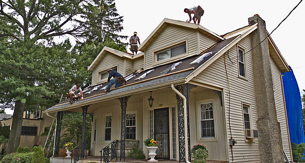 Best Roof Gutter Cleaning  in Little Silver, NJ